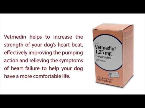 Видео о препарате Ветмедин таблетки (Пимобендан, Vetmedin) 1,25мг №100 (100 таблеток)